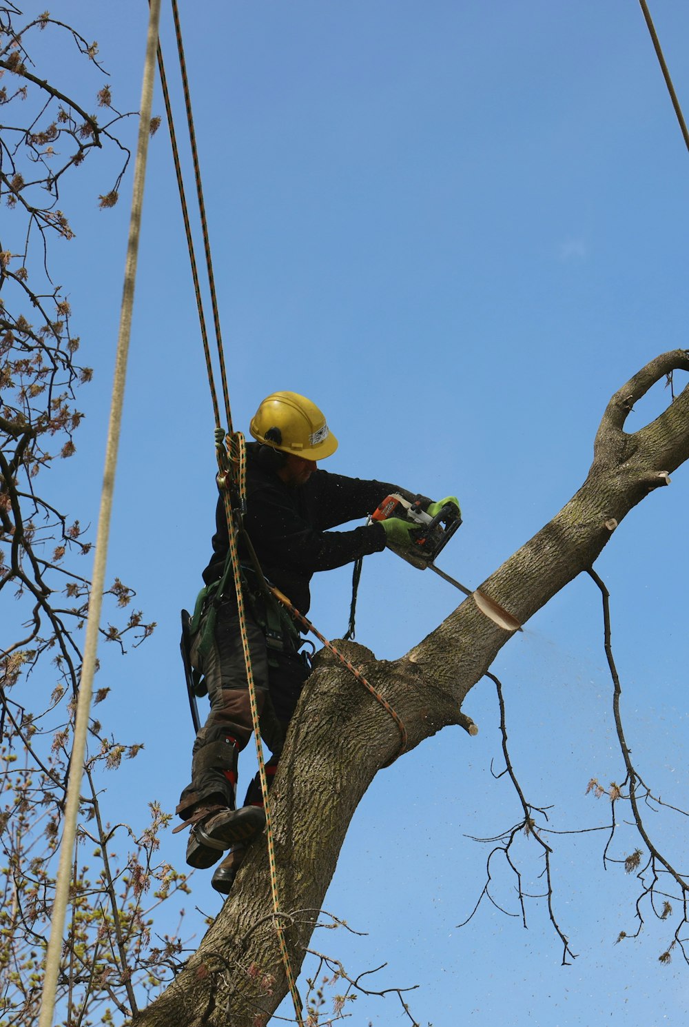 a man in a yellow helmet is climbing up a tree