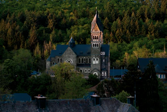 grey and brown concrete castle surrounded by green trees during daytime