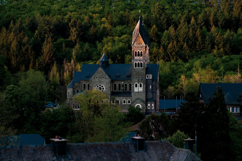 grey and brown concrete castle surrounded by green trees during daytime