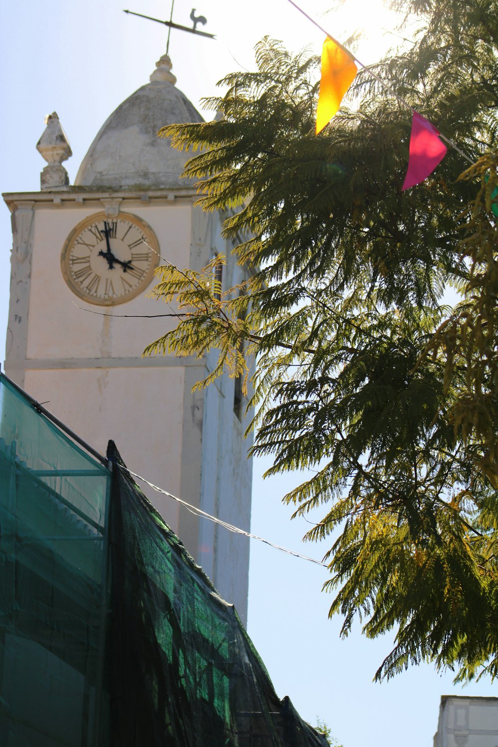 green and red flag on green tree