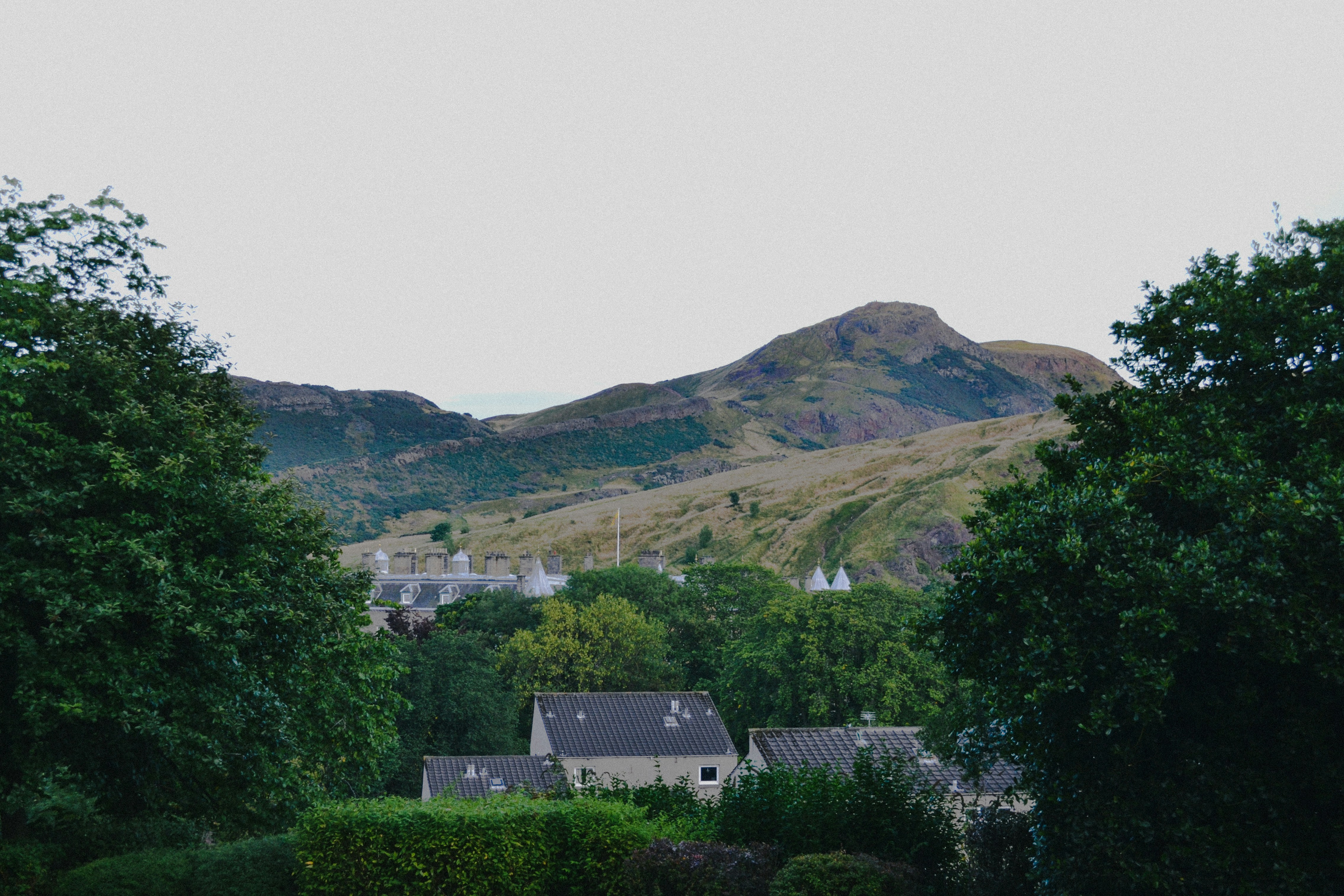 Photo by walking_abby