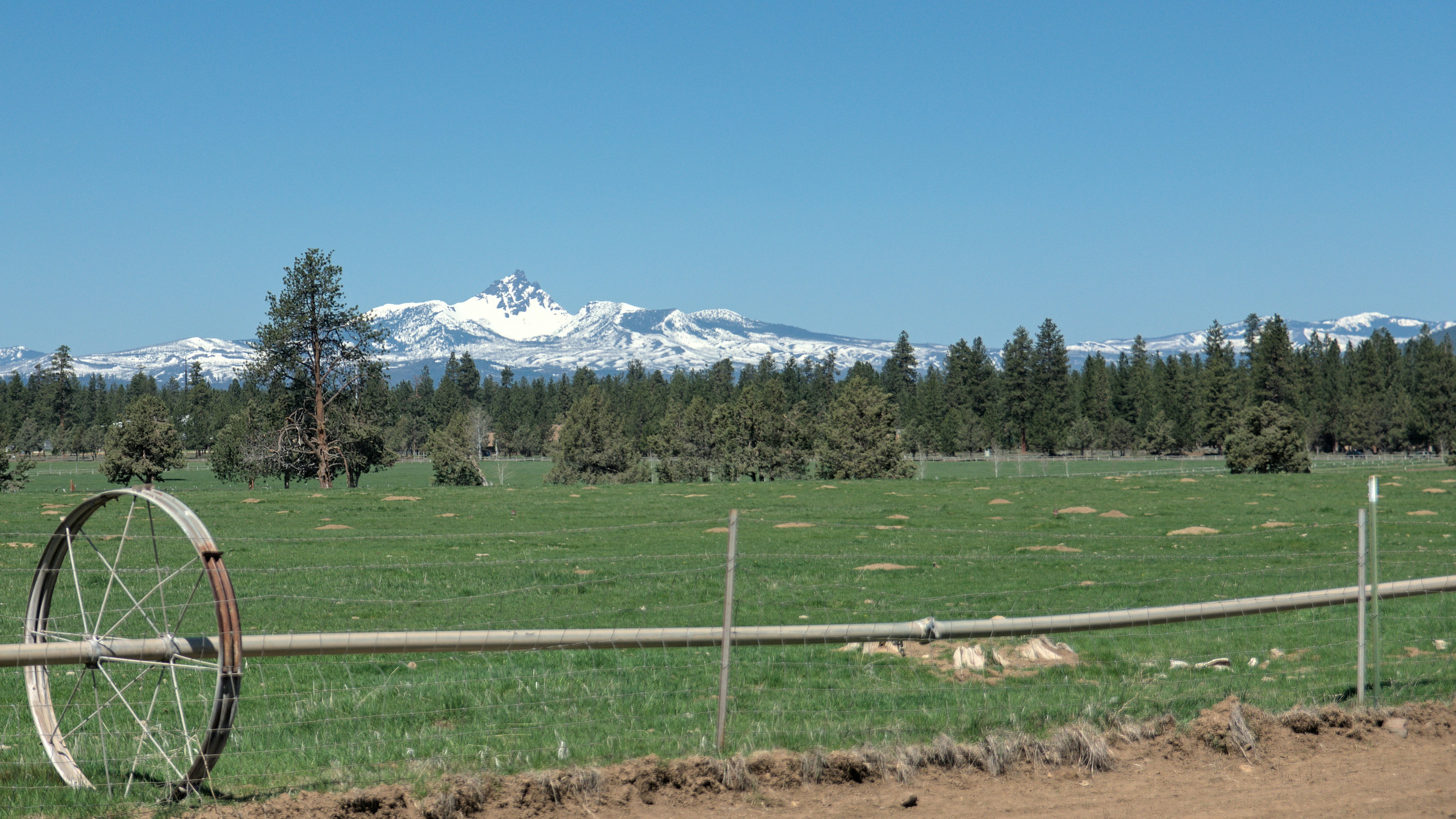 green grass field near snow covered mountain during daytime