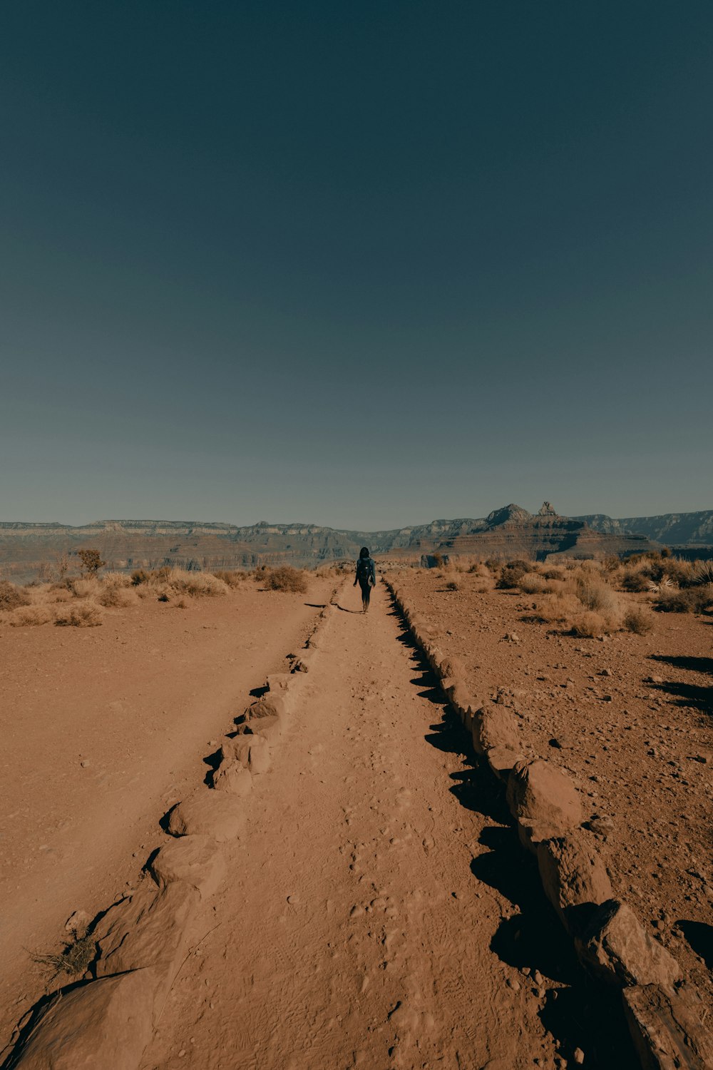 person walking on brown sand during daytime