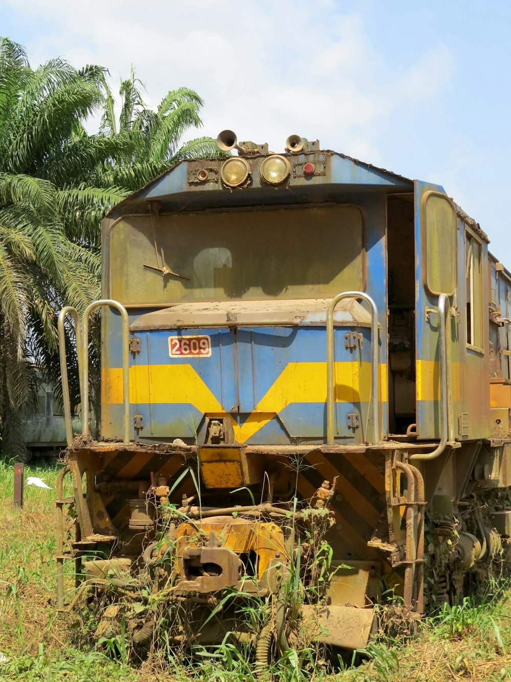 blue and yellow train on rail tracks