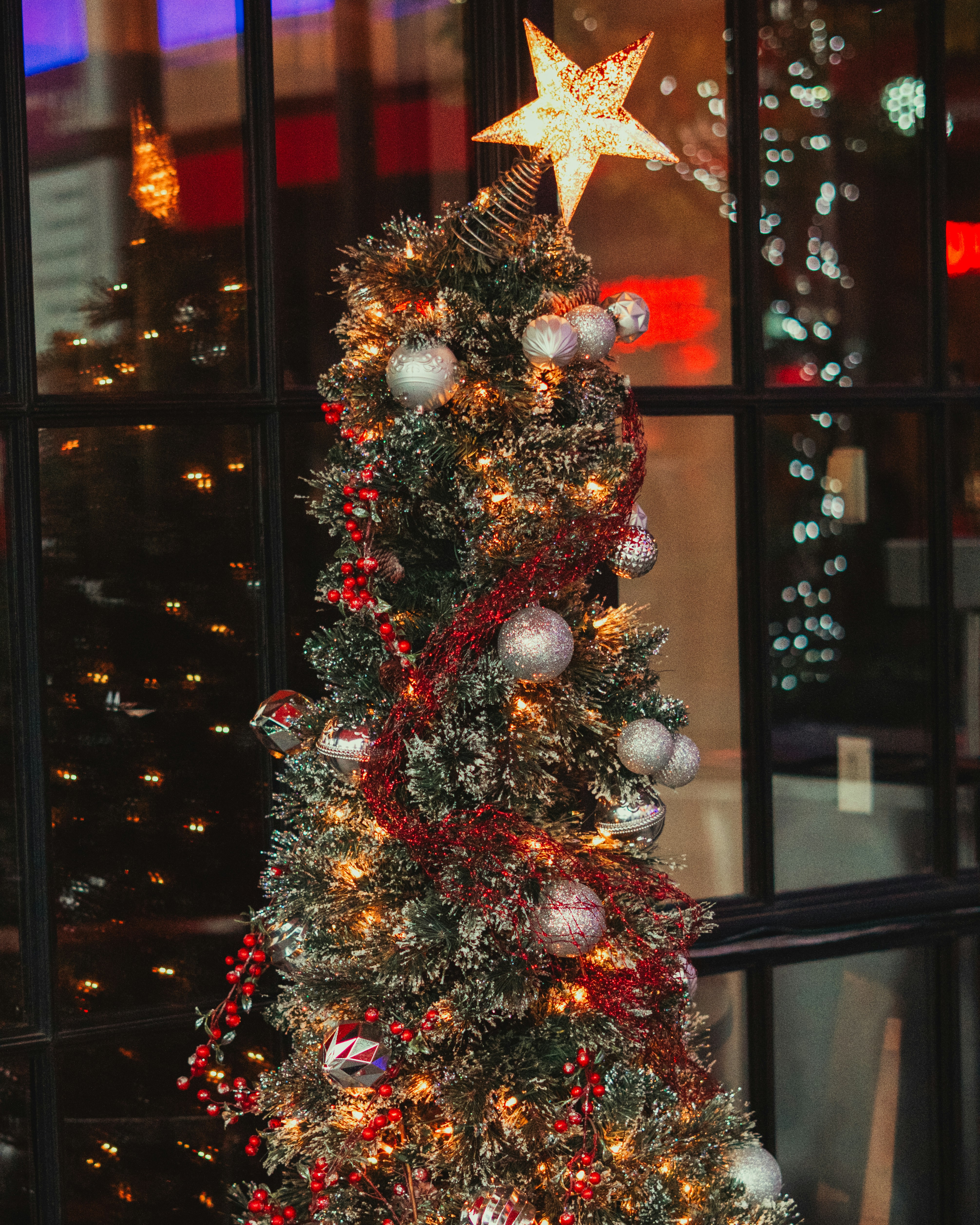 Photo by drizzy_bear86