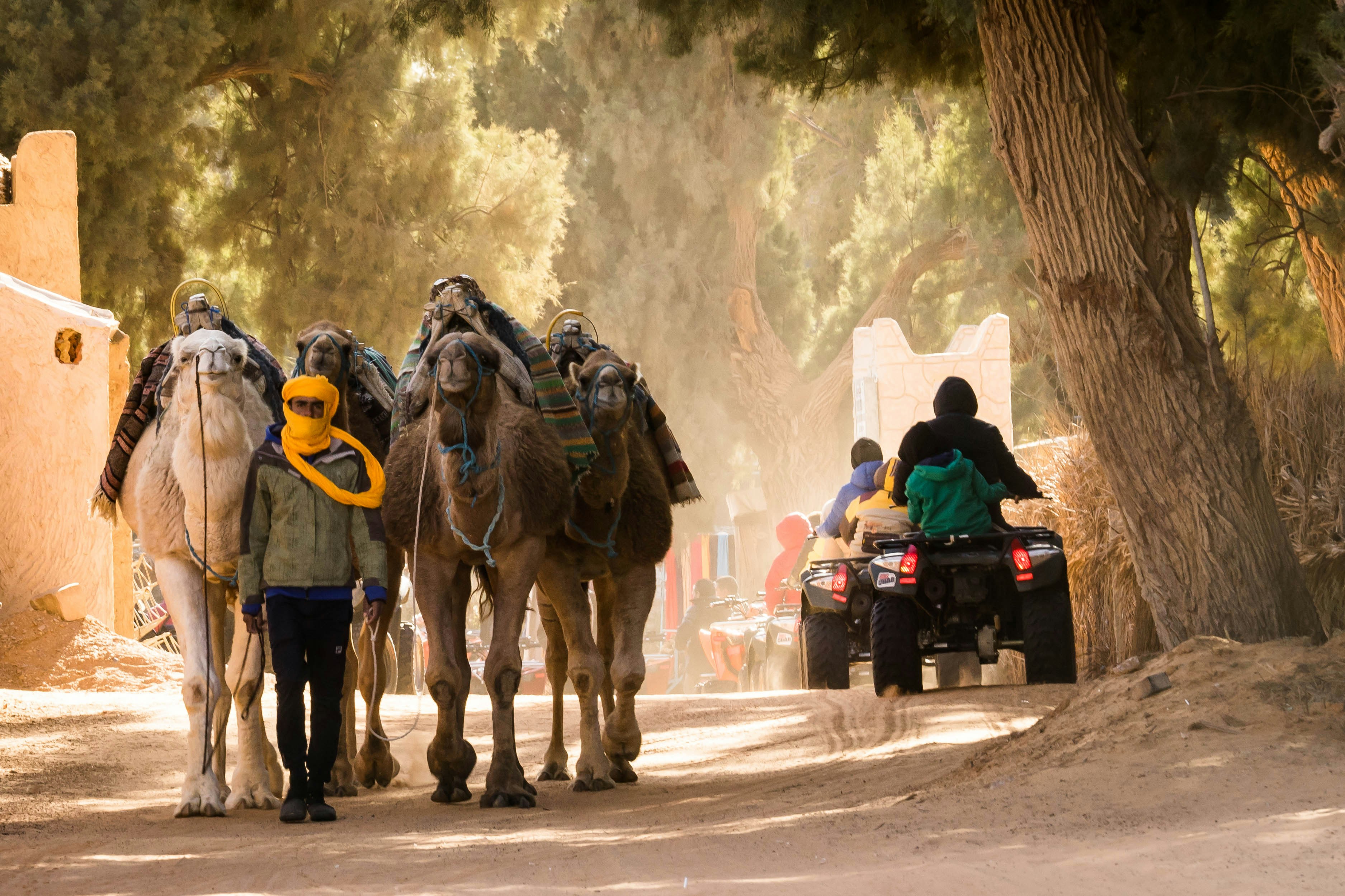man riding on horse in the street