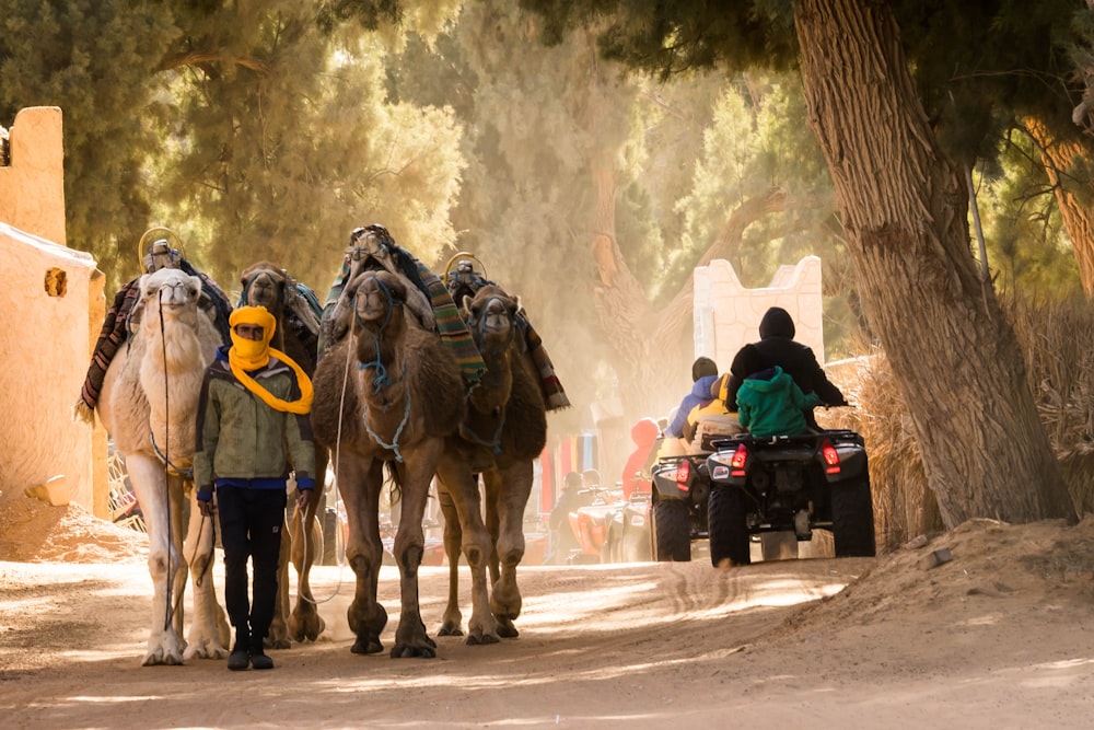 man riding on horse in the street