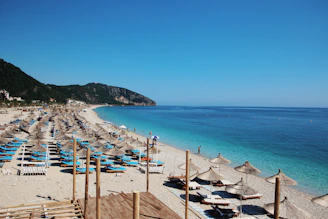 people on beach during daytime