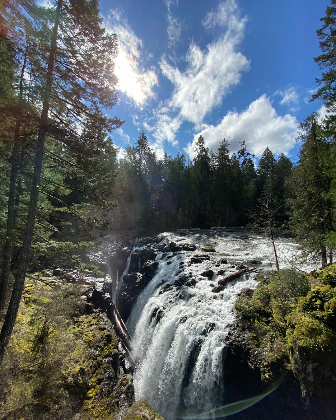 Waterfall photo spot Englishman River Falls Provincial Park North Vancouver