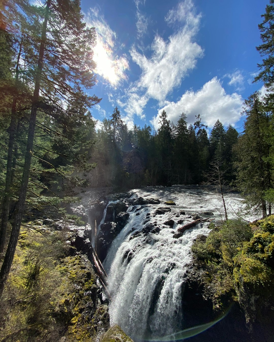 Waterfall photo spot Englishman River Falls Provincial Park Shannon Falls