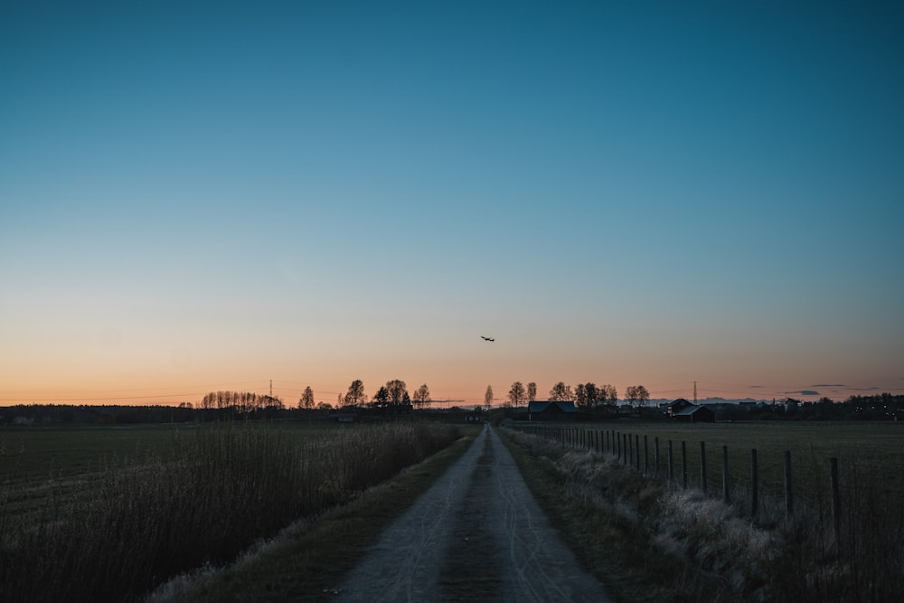 brown grass field during sunset