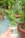 A hand is holding a small clear glass beaker containing a plant cutting submerged in water. The plant has green leaves and appears to be healthy. In the background, there are several potted plants and blurred greenery, suggesting a garden setting.