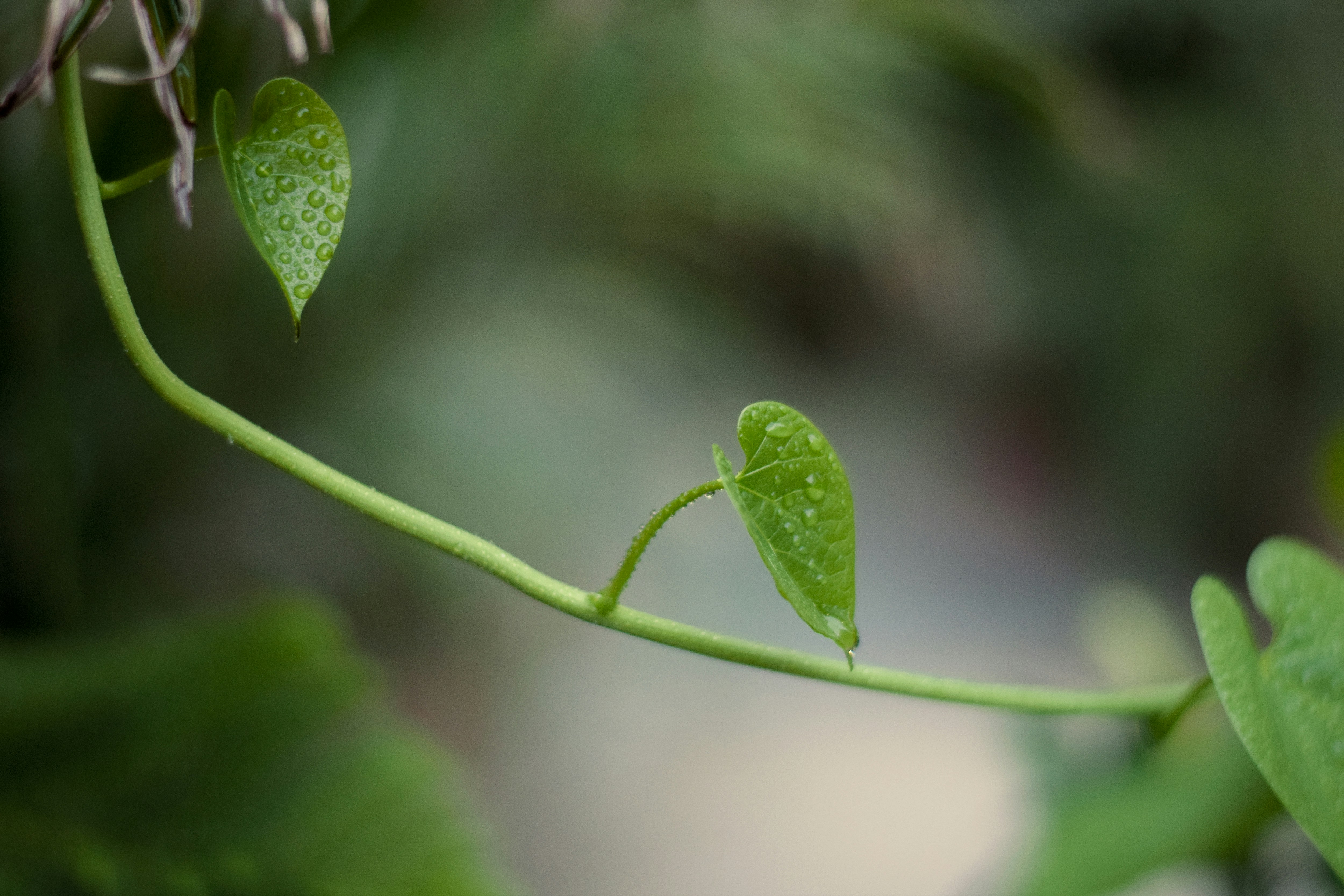 Photo by richasharma96