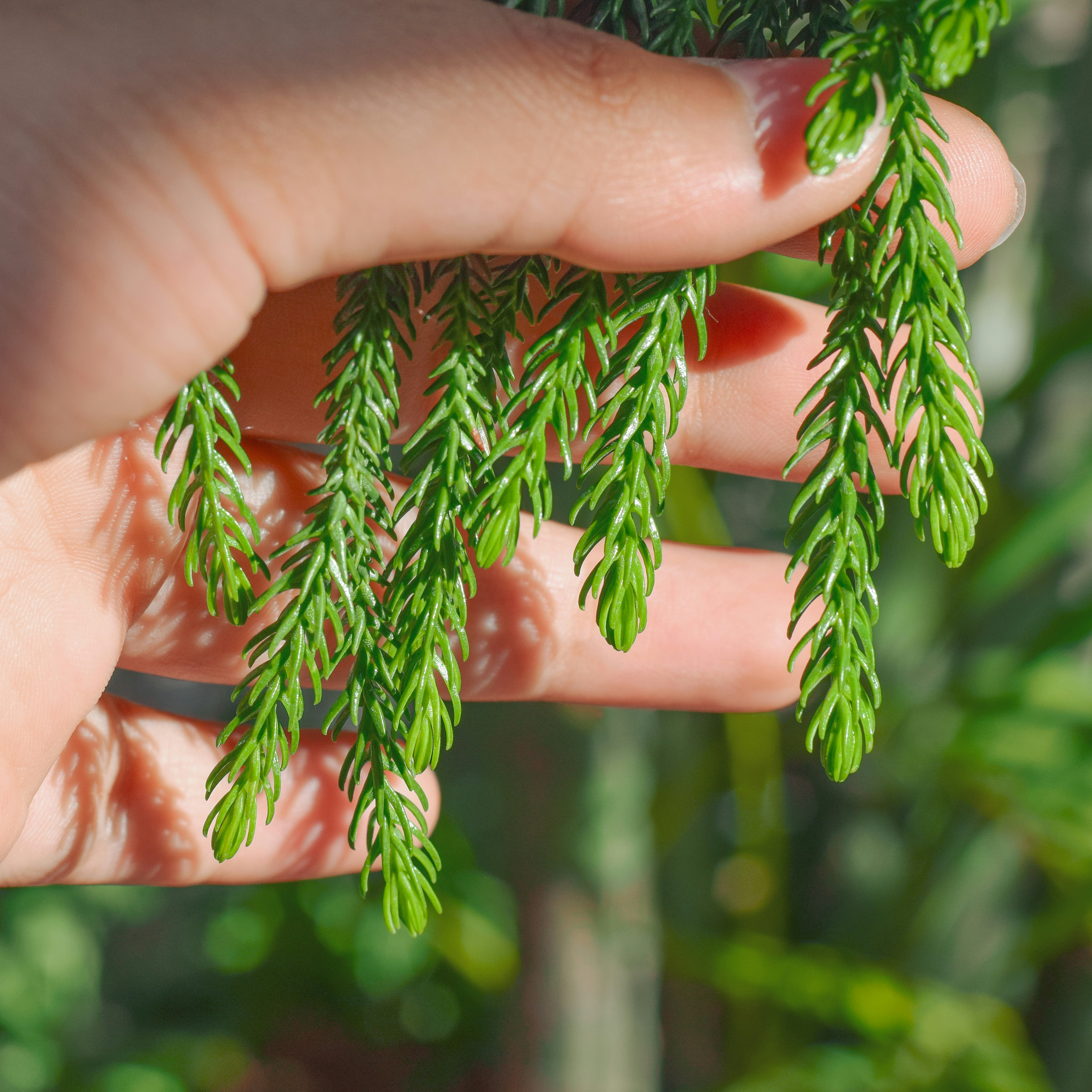 Photo by richasharma96