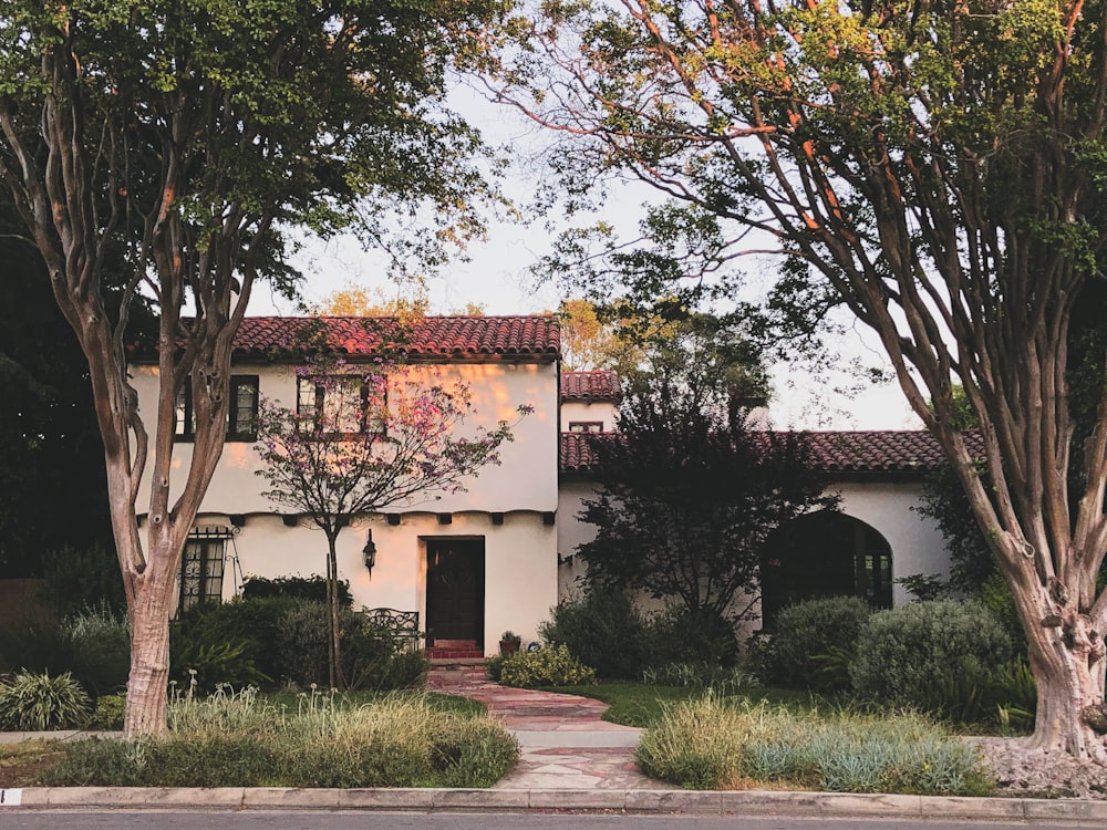 green trees beside white and brown concrete house during daytime