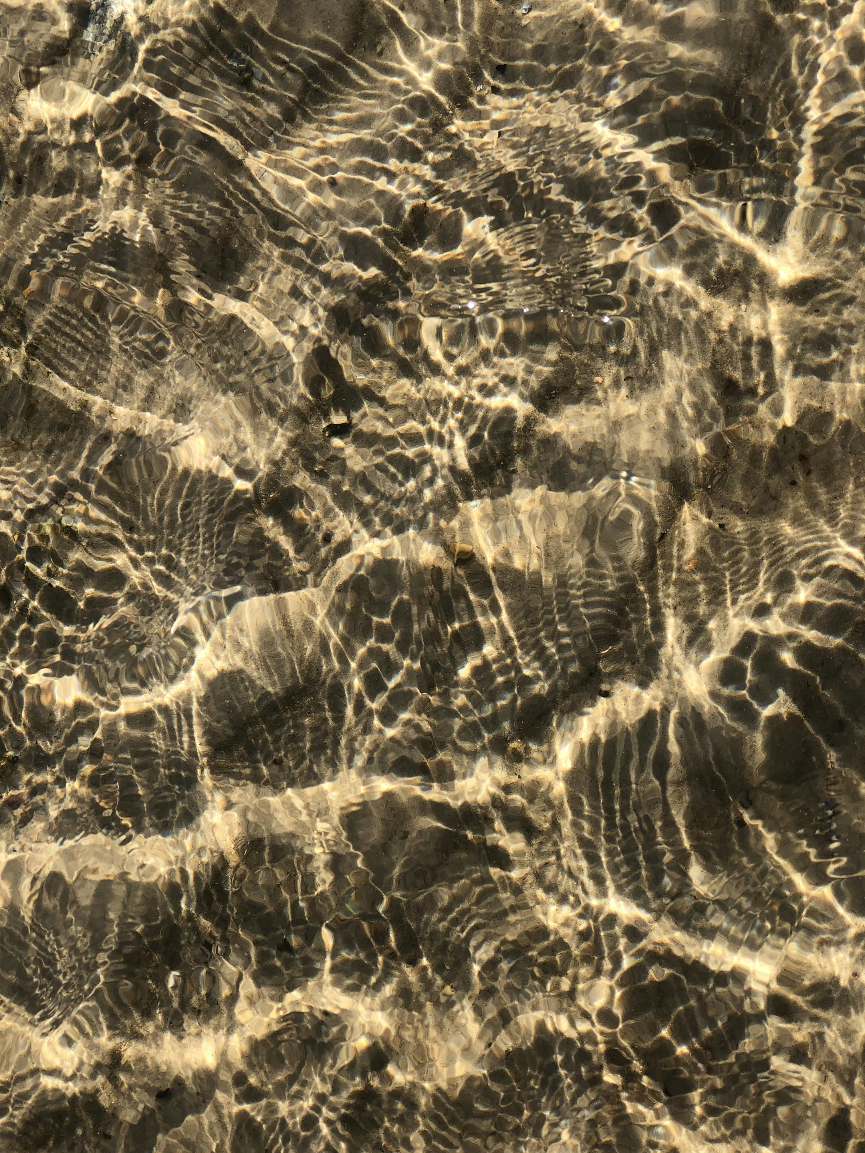 Photo by juliamitchell13