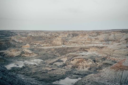 brown and gray rock formation under white sky during daytime in Dinosaur Provincial Park Canada