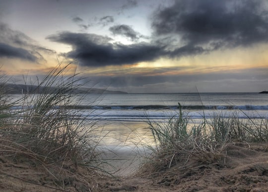 green grass on seashore during daytime in 50 Great Ocean Road Australia