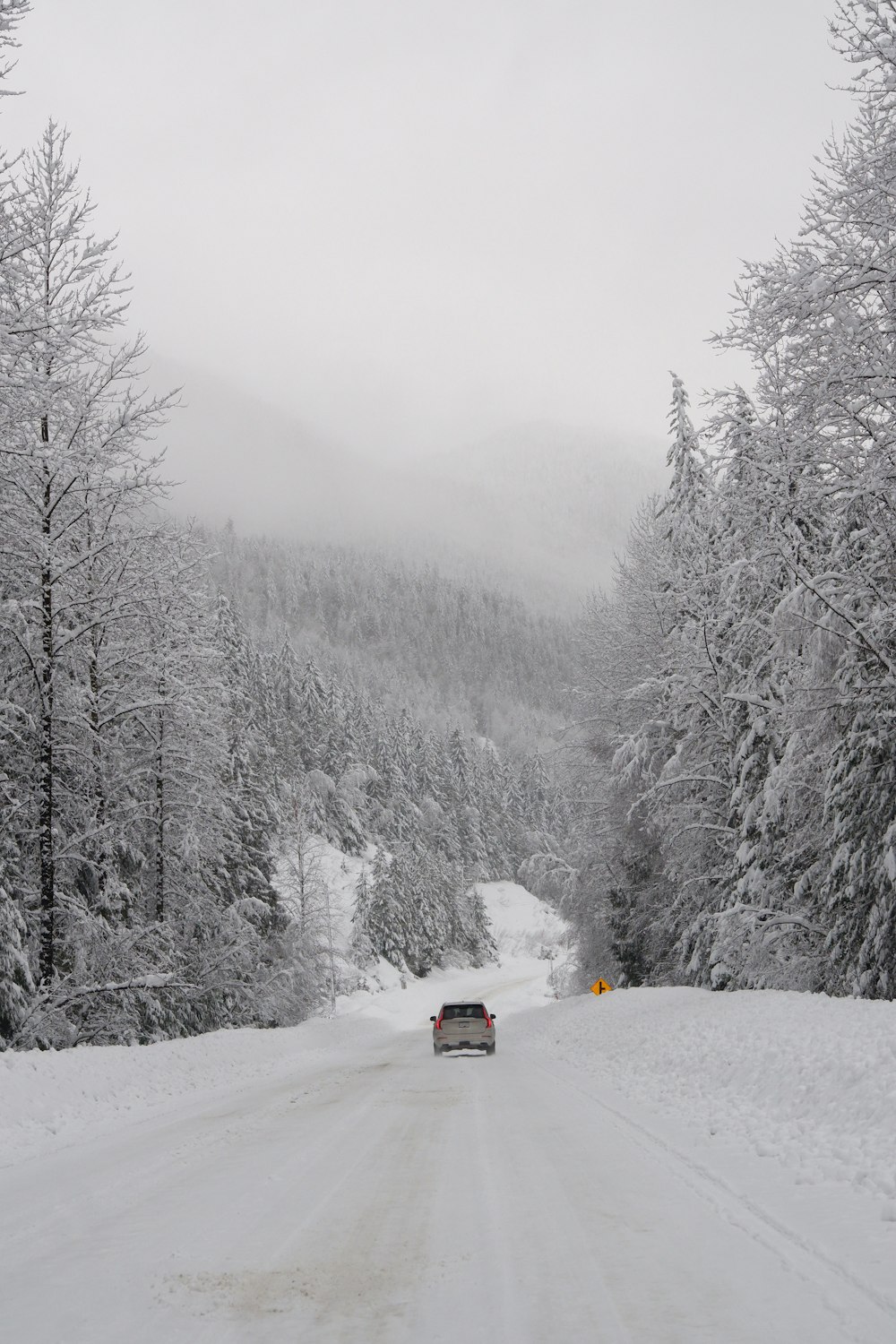 Schneebedeckte Bäume und Haus tagsüber