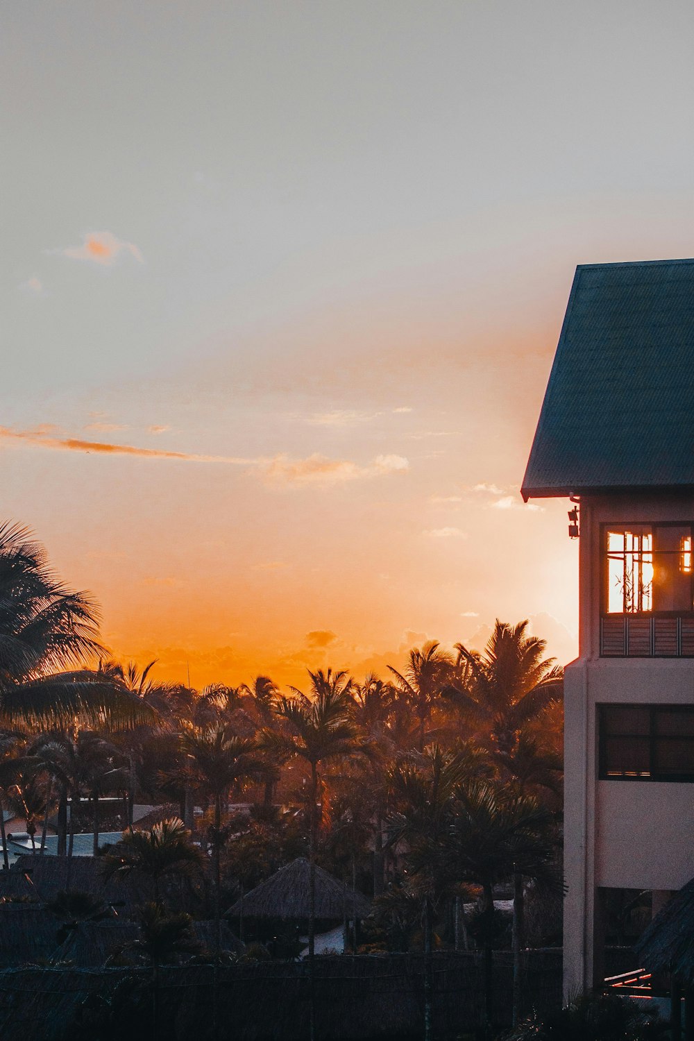 palm trees near house during sunset