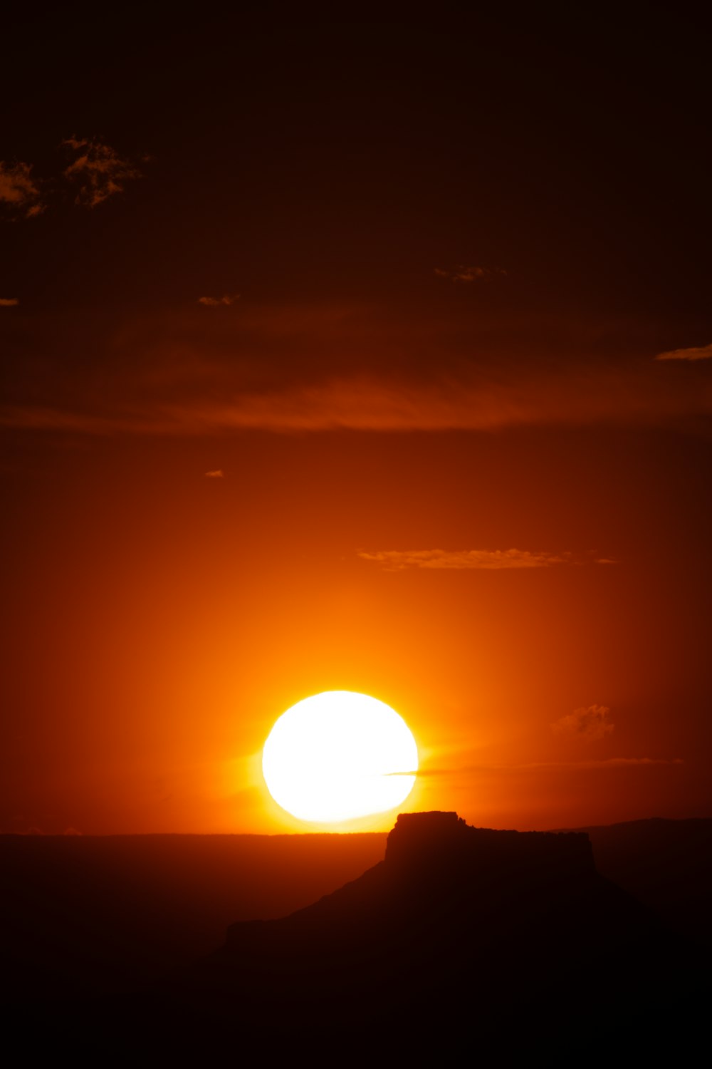 Silueta de árboles durante la puesta del sol