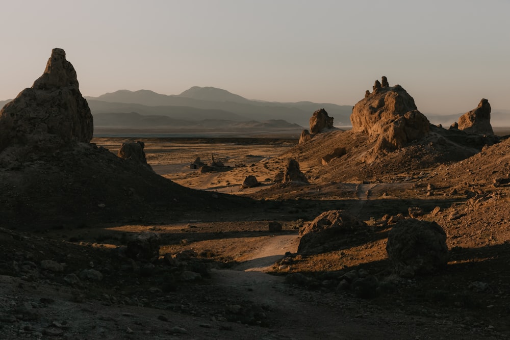 brown rock formation on brown field during daytime