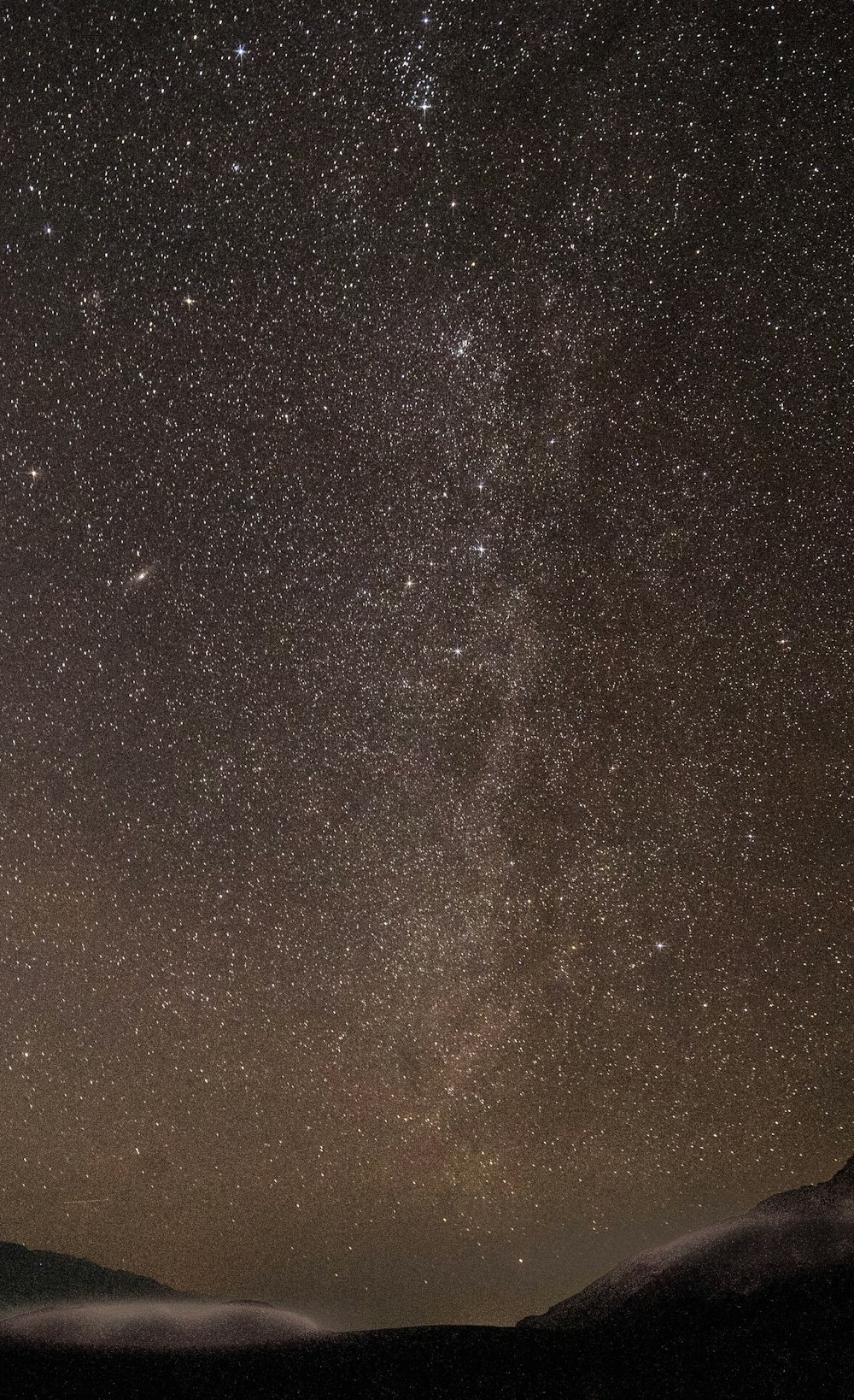 black and brown starry night