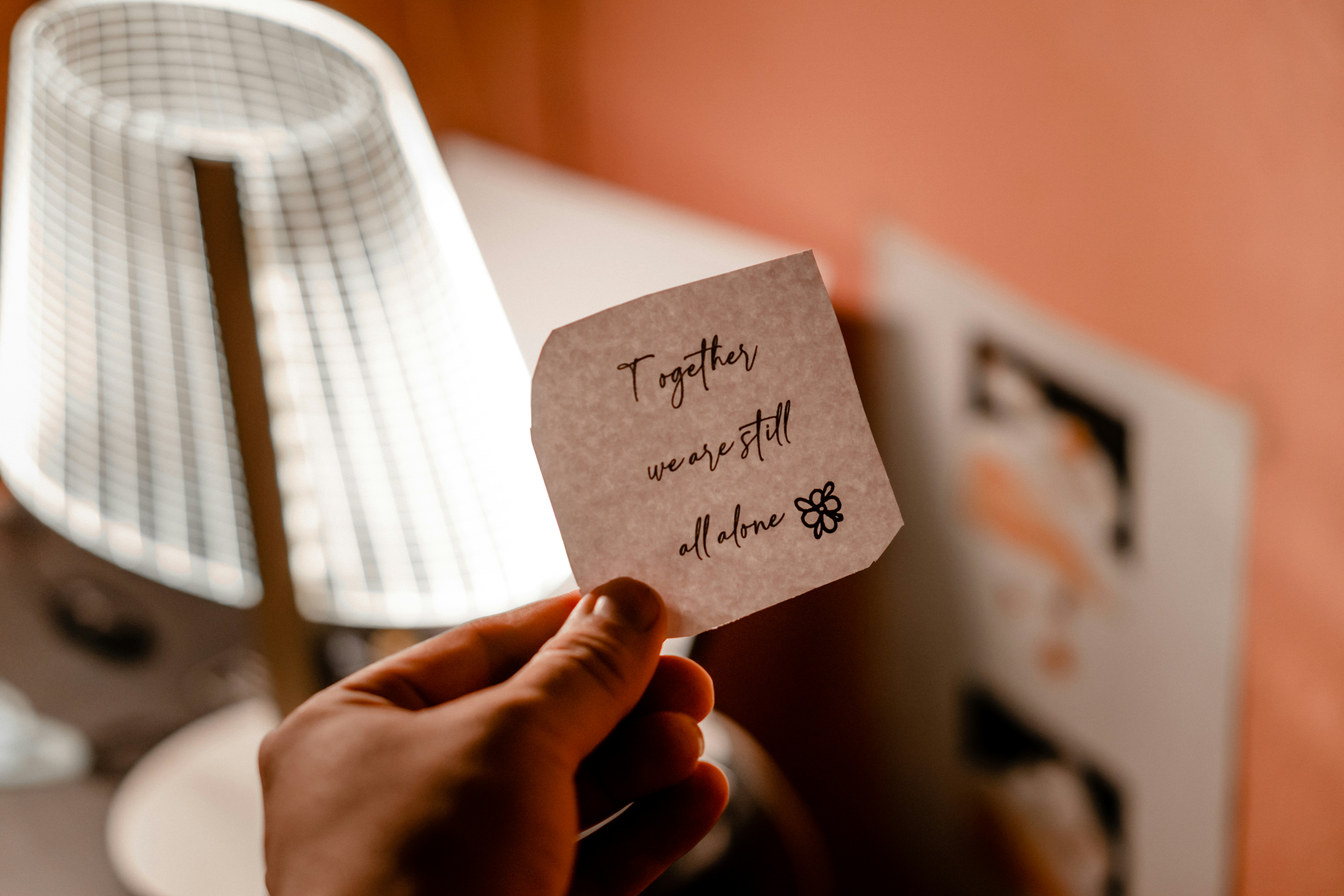 Photo by shuvrosettledown