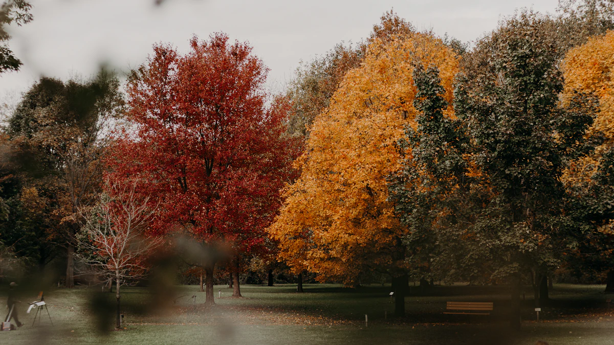 Fall trees in a park in Columbus, Ohio