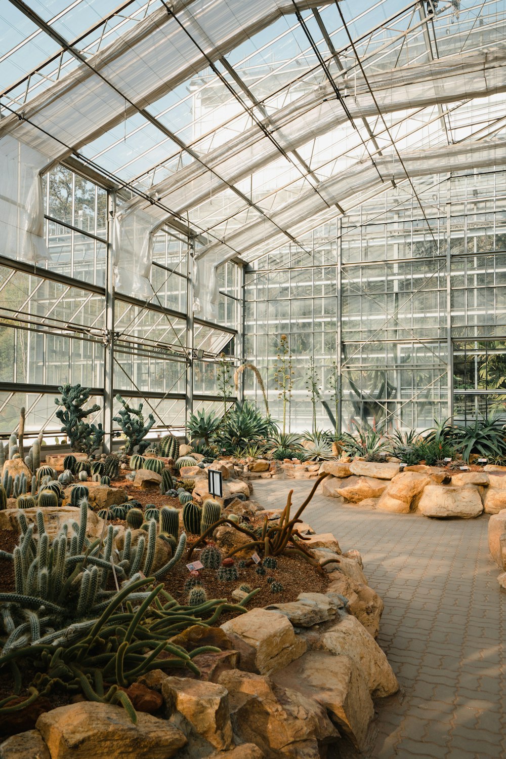 green plants in greenhouse during daytime