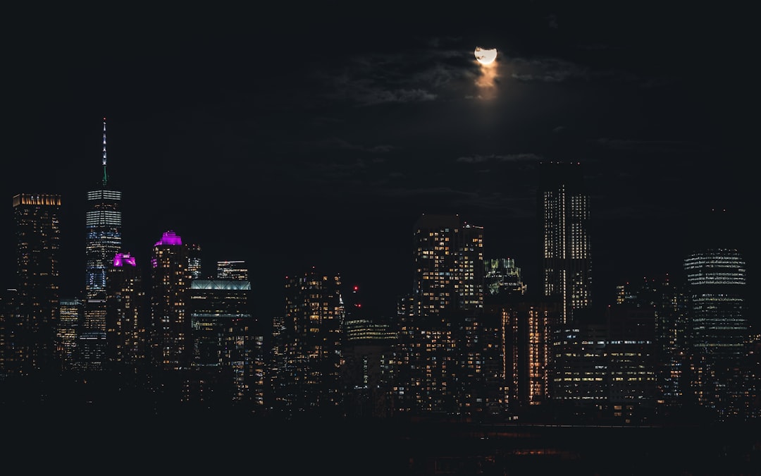 city skyline during night time