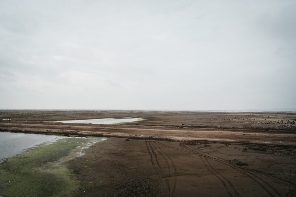 green grass field near body of water during daytime