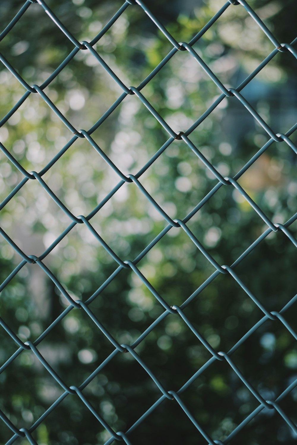 green metal fence during daytime