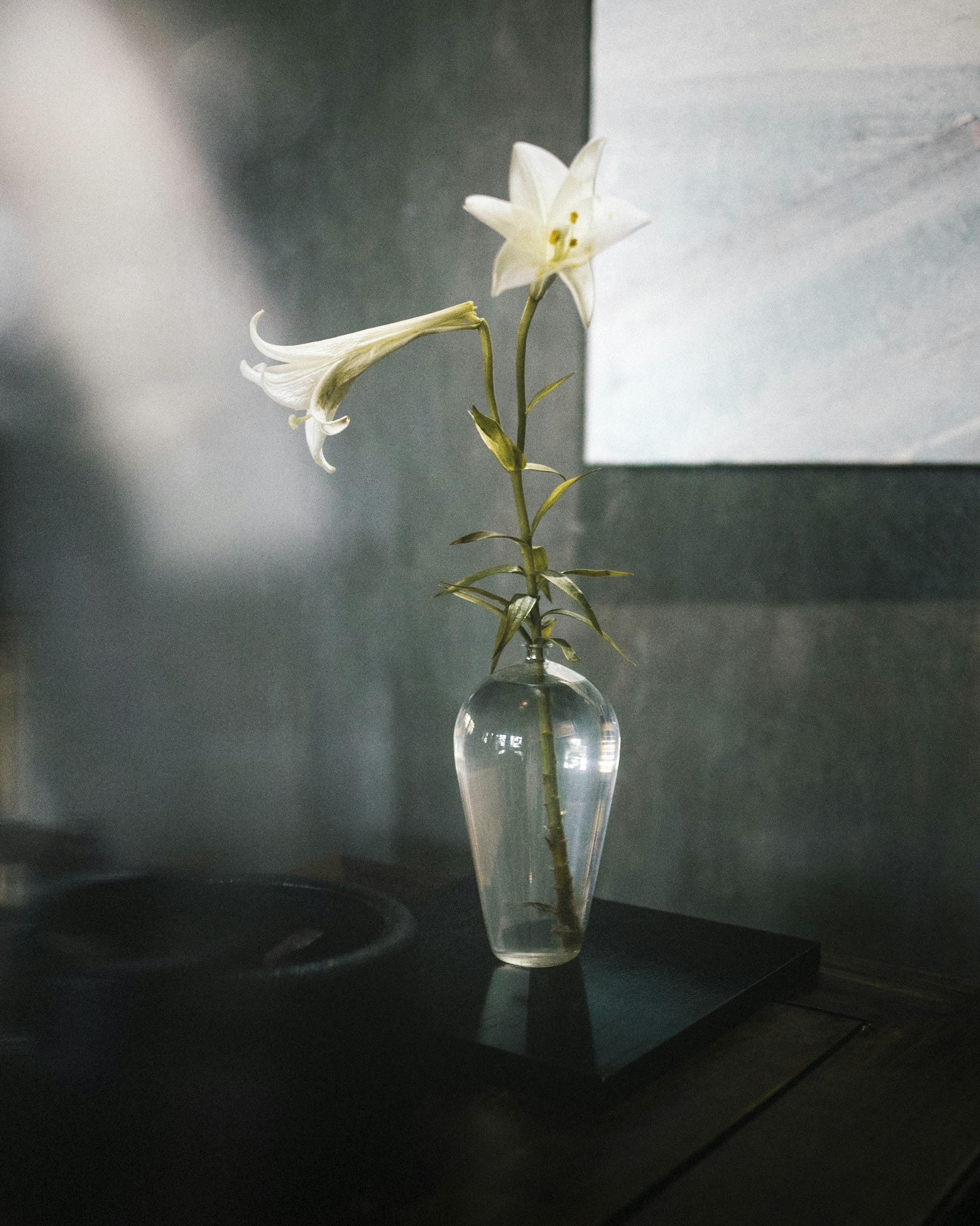 Canon EOS 6D + Canon EF 35mm F2 sample photo. White flower in clear photography
