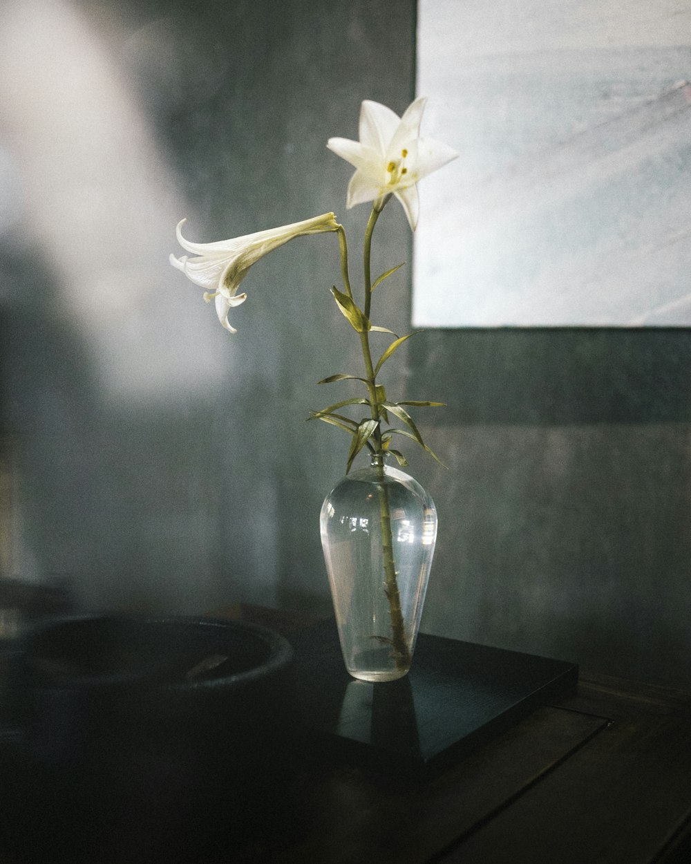 white flower in clear glass vase