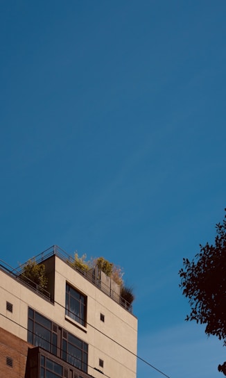 Modern urban building facade with sleek lines and green rooftop garden under clear sky