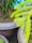 A bright green leafy branch with two mosquitoes perched on it, surrounded by large plant pots in the background.