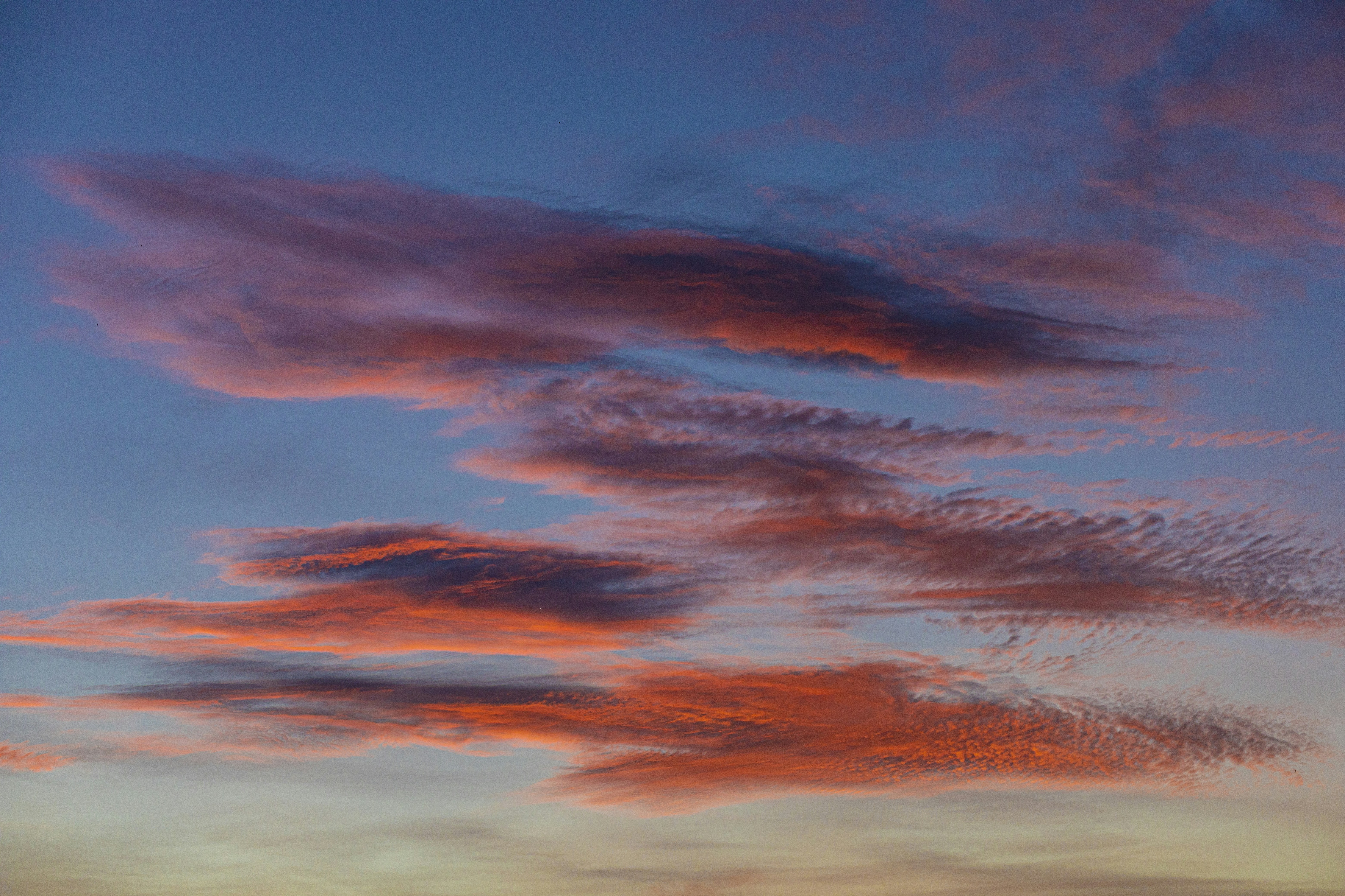 Photo by isaacquesada