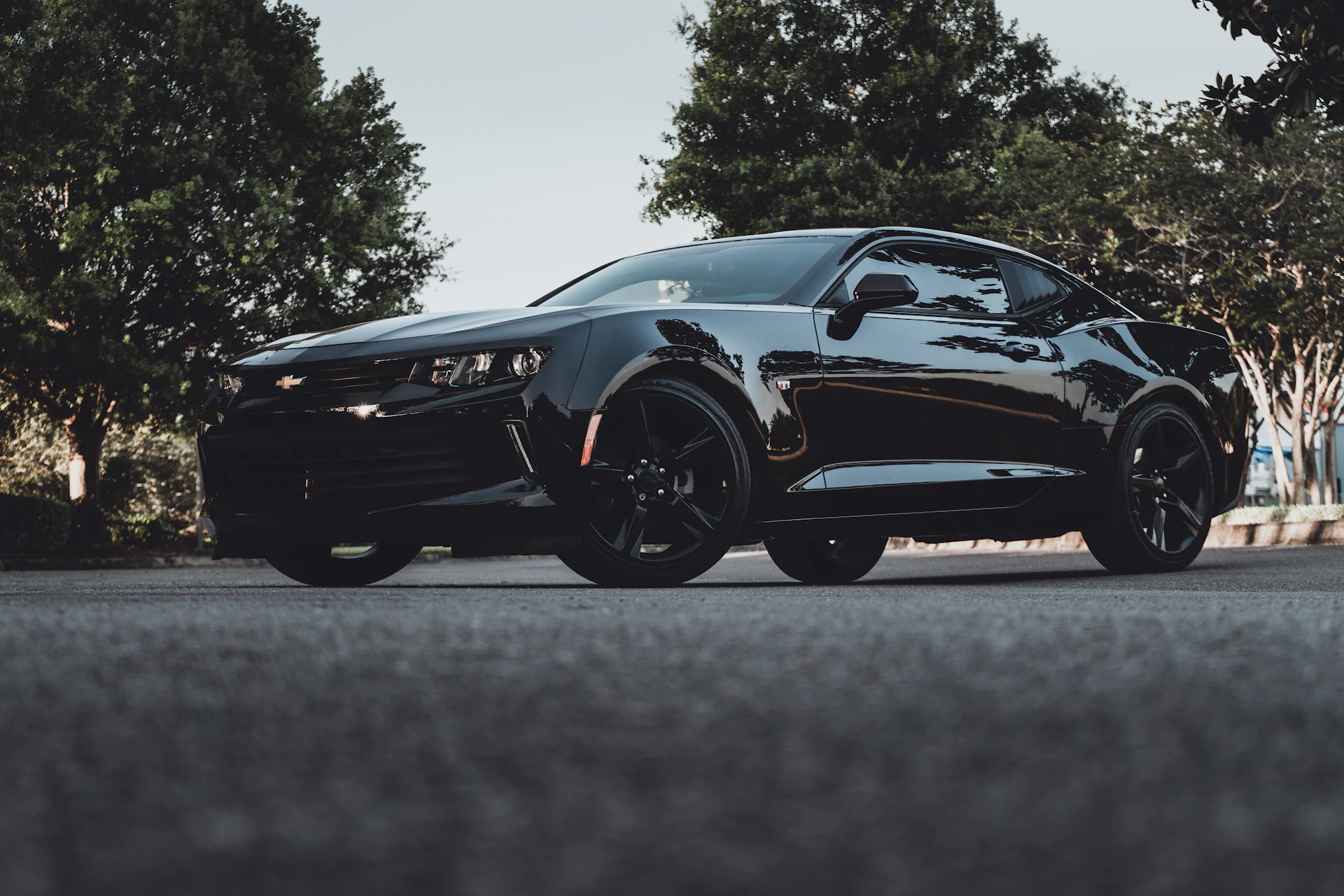 Glossy black sports car detailed and ceramic coated