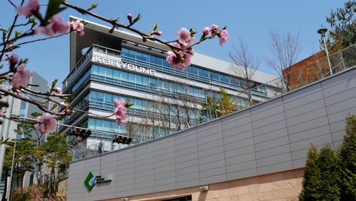 A modern, multi-story office building with glass windows and the name 'KOH YOUNG' prominently displayed. In the foreground, blooming branches with pink flowers frame the image, adding a touch of nature. The sky is clear and blue, and there is landscaping with various trees and shrubs around the building.