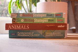 Stack of four ebooks fanned out on a wooden table with cozy lighting.