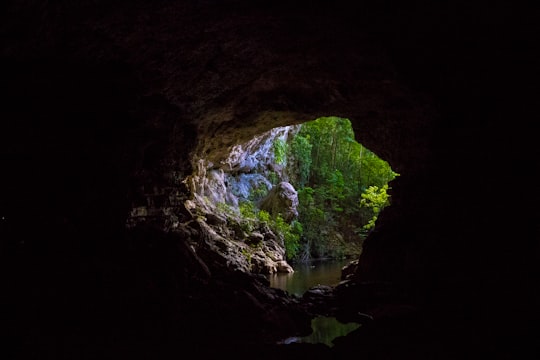 green and brown cave with water in Mountain Pine Ridge Forest Reserve Belize