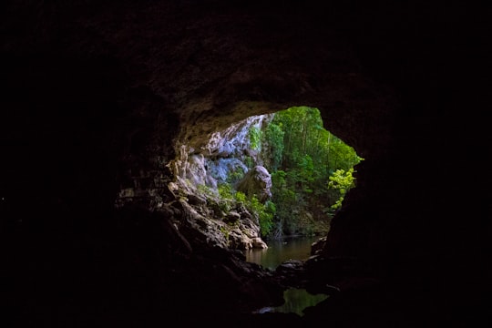 Mountain Pine Ridge Forest Reserve things to do in San Ignacio