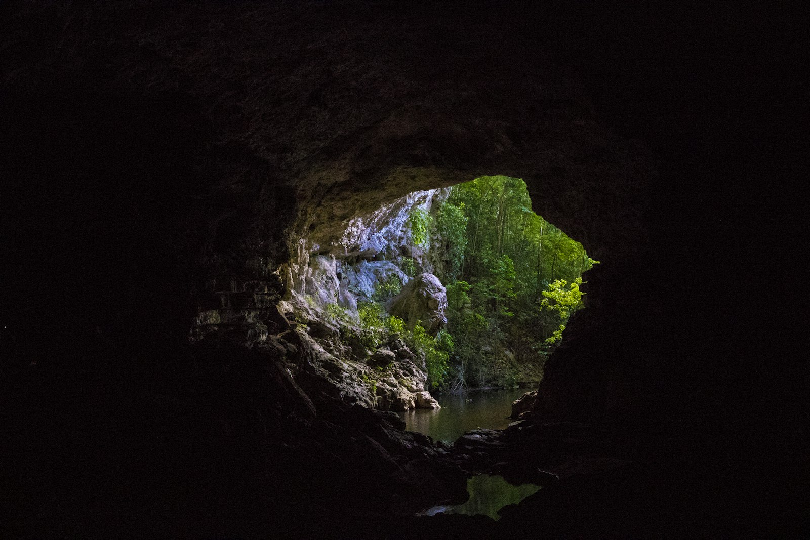 Canon EOS 7D Mark II + Canon EF-S 15-85mm F3.5-5.6 IS USM sample photo. Green and brown cave photography