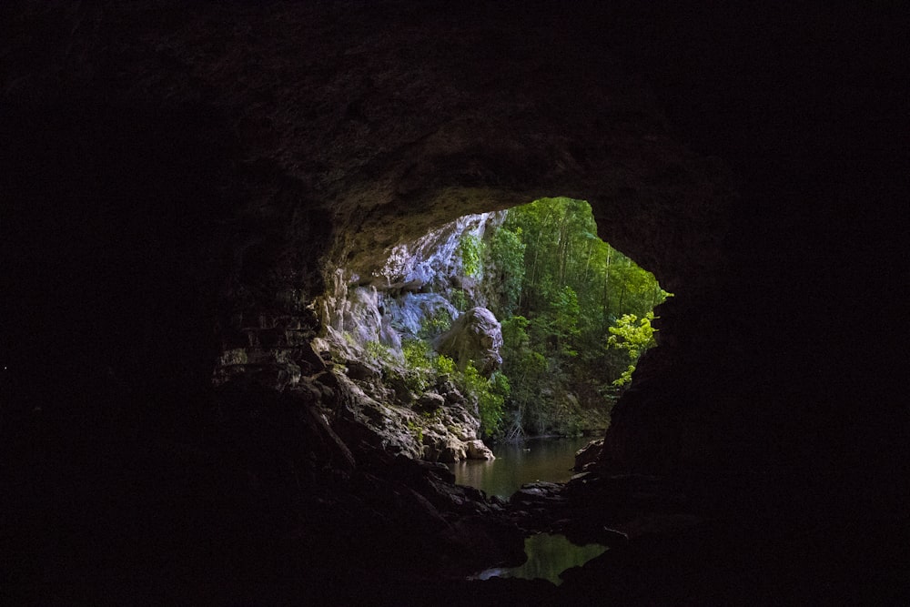 green and brown cave with water