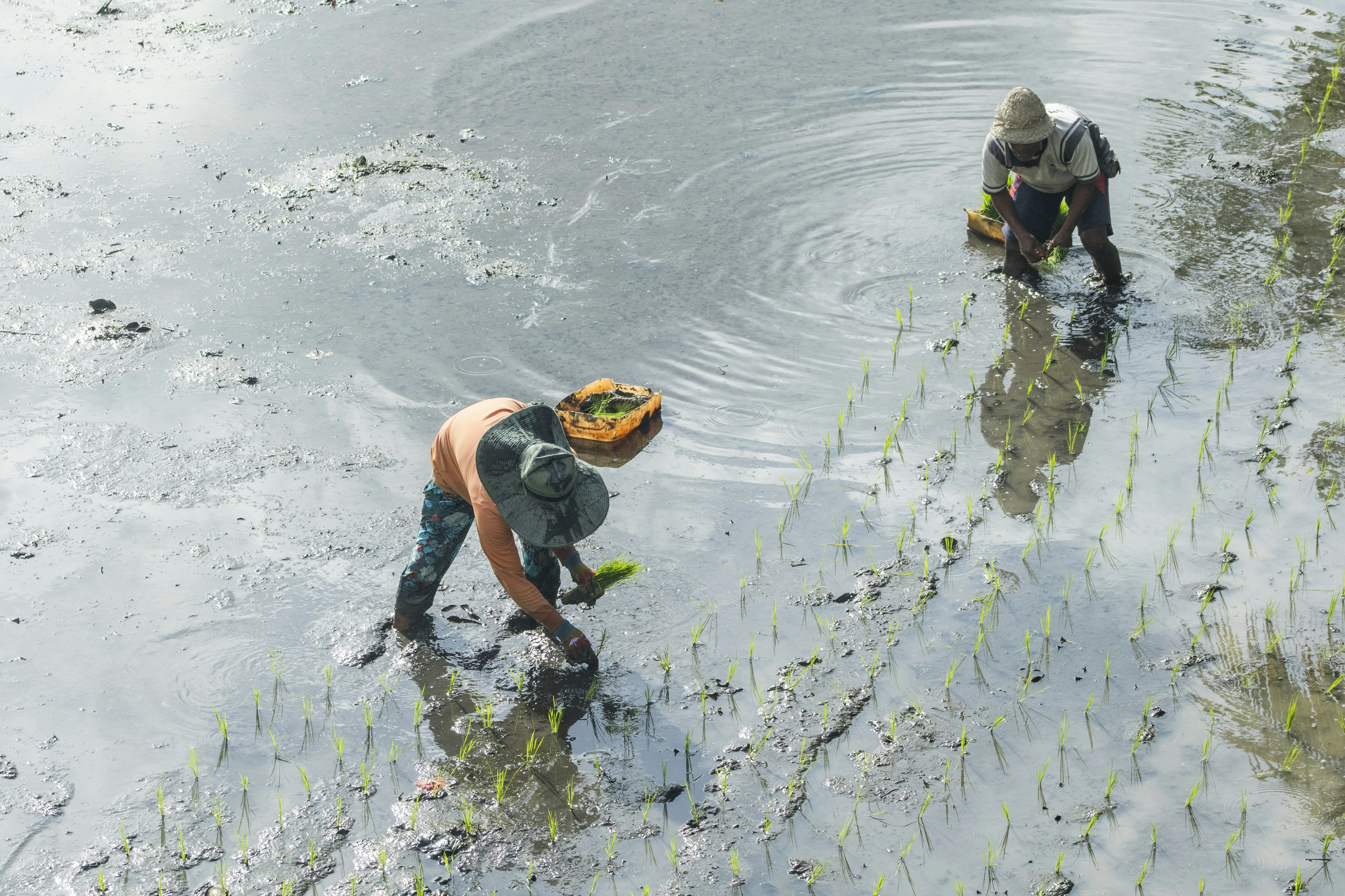 Economic Impacts Beyond the Obvious (image credits: unsplash)