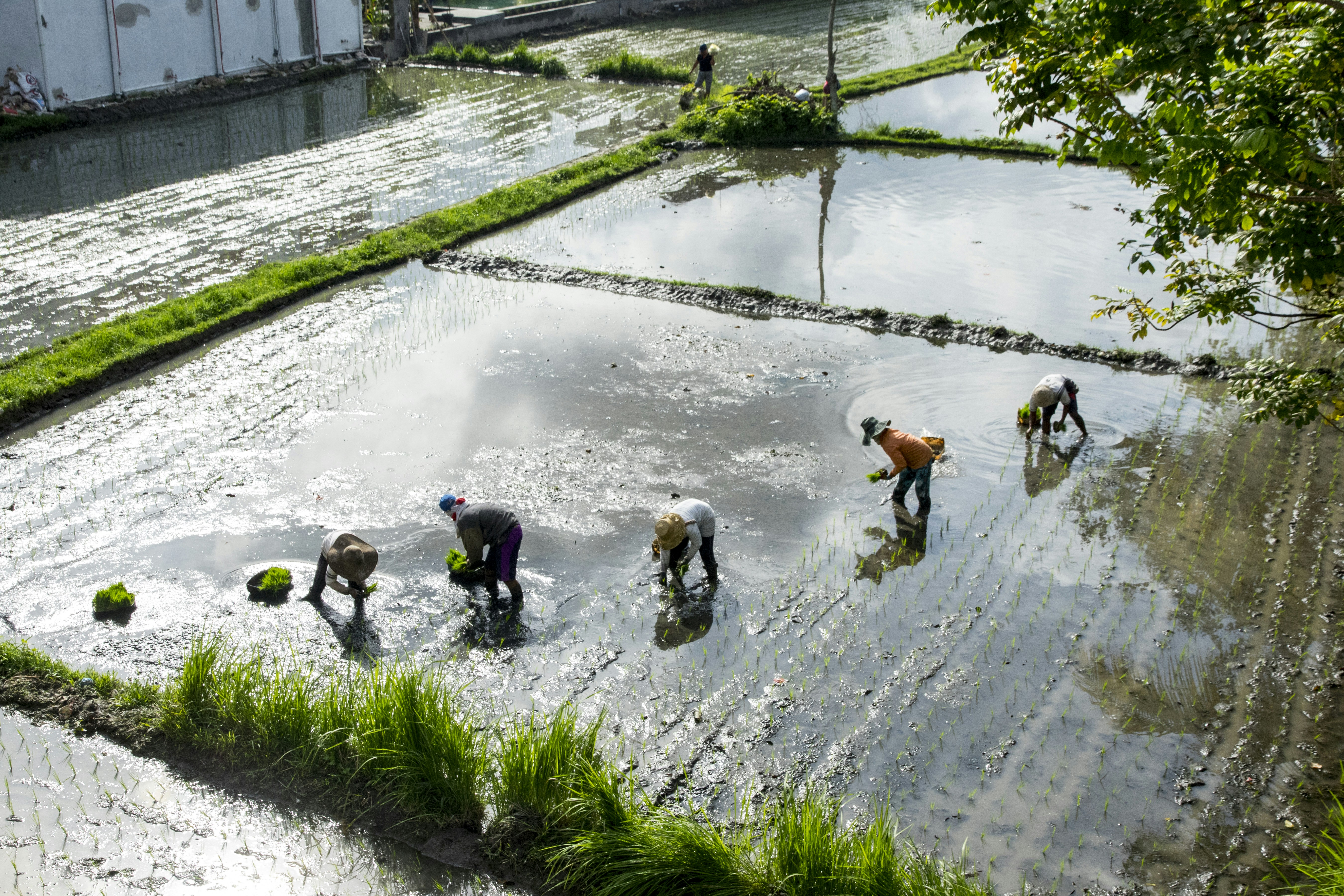 Photo by robincanfield