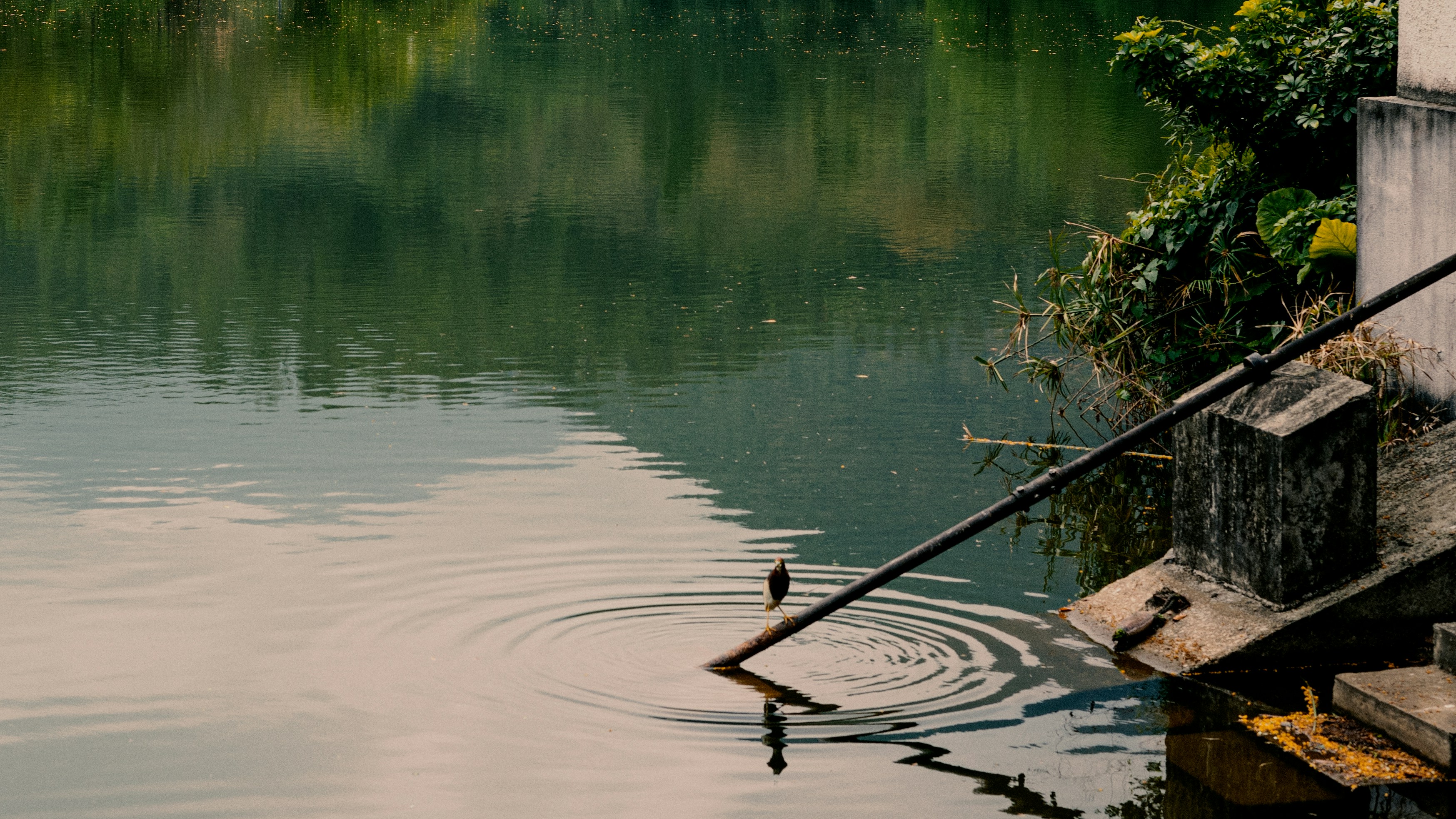 Photo by yvonne_yang