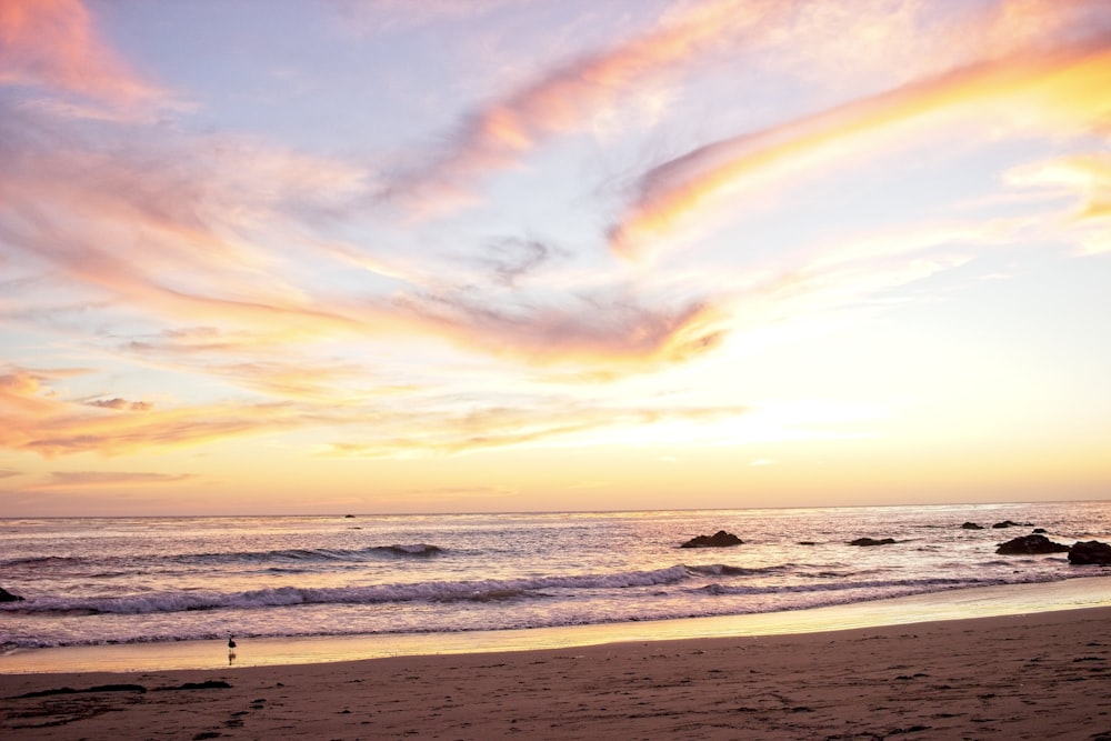 people on beach during sunset