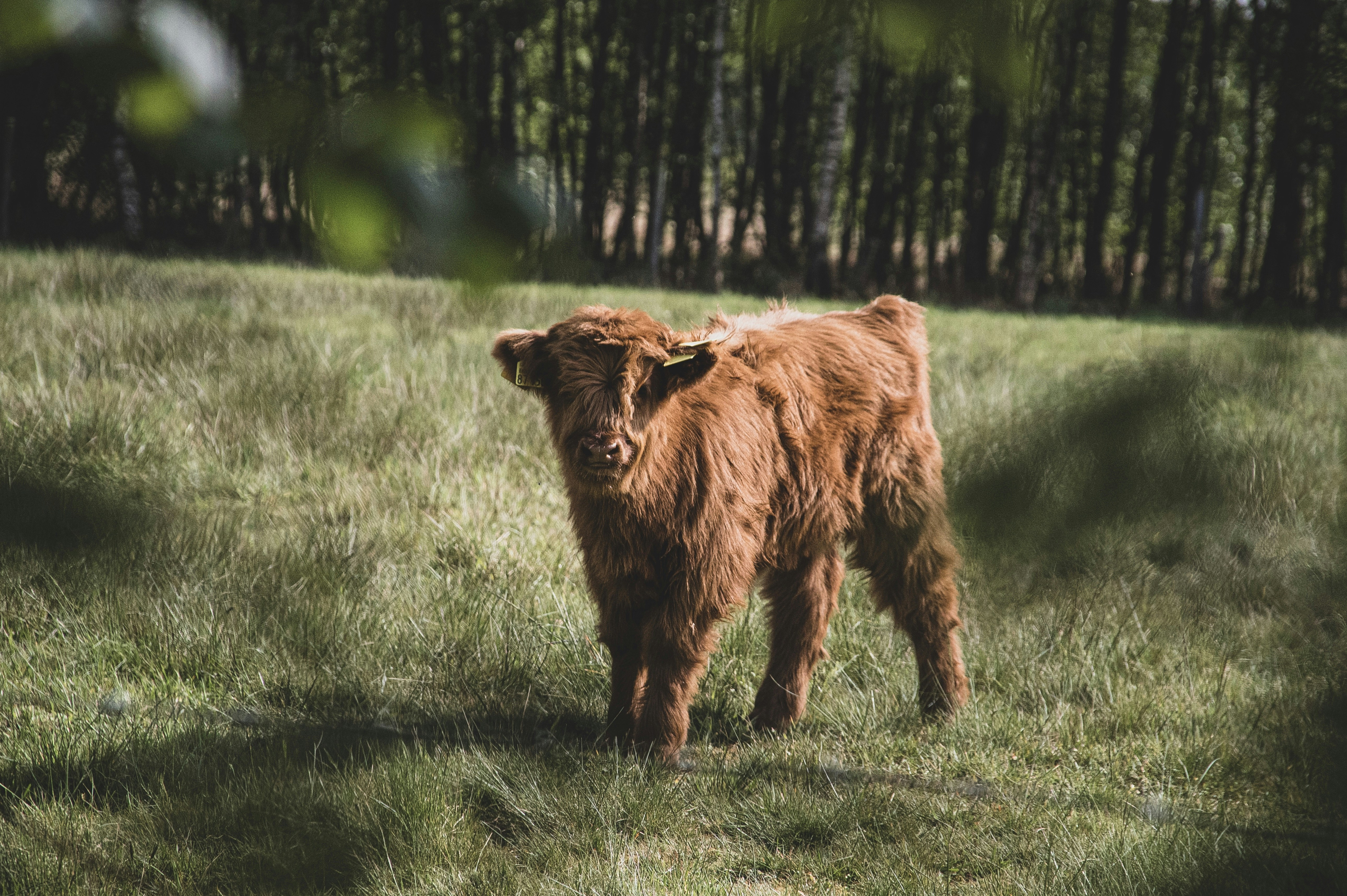 Photo by augustijnfotografie
